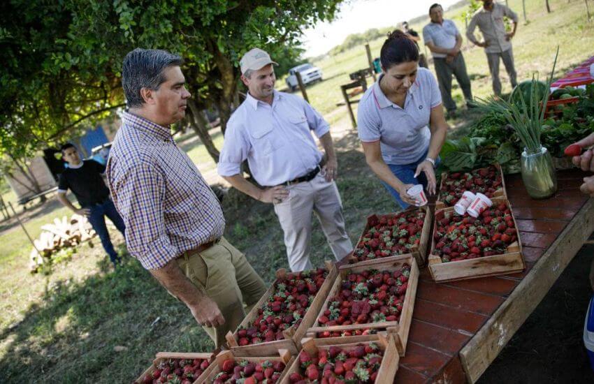 FRUTI (1)